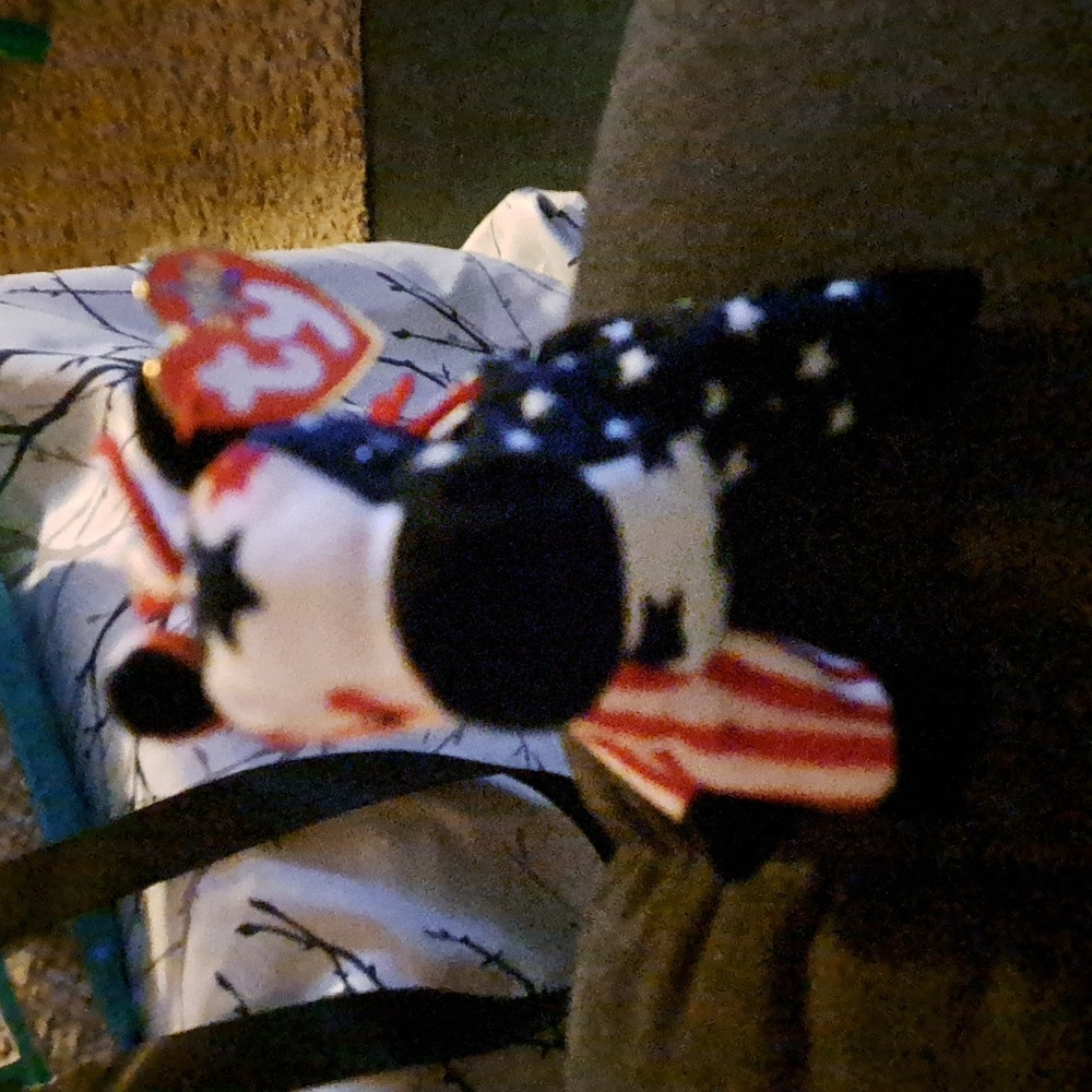 Lefty 2000 beanie baby
